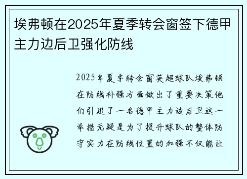 埃弗顿在2025年夏季转会窗签下德甲主力边后卫强化防线